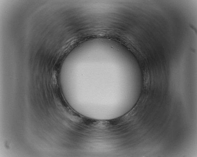 X0000101680128200807101153