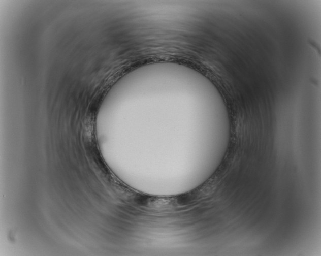 X0000101680129200807101153