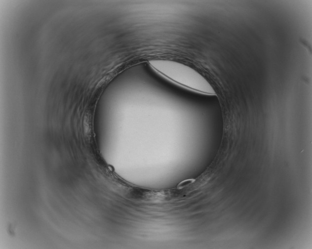 X0000101680131200807101153