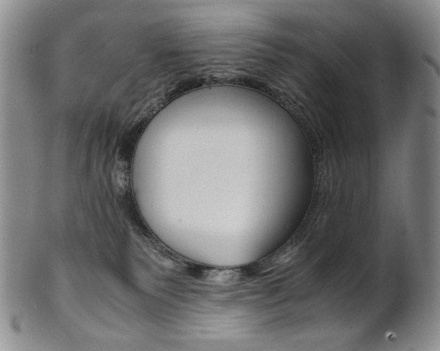 X0000101680135200807101153