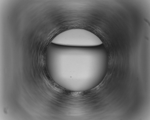 X0000101680136200807101153