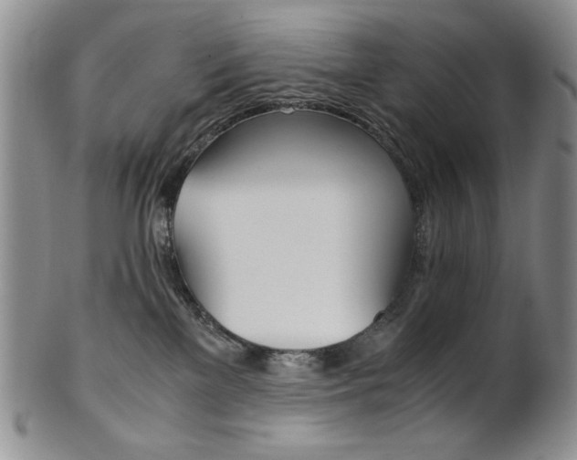 X0000101680137200807101153