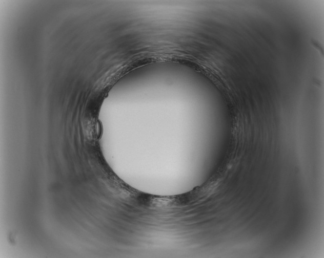 X0000101680139200807101153