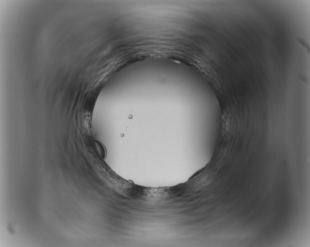 X0000101680141200807101153