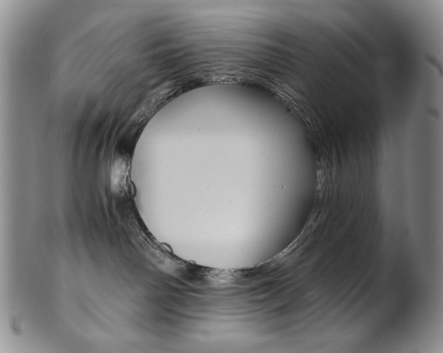 X0000101680142200807101153