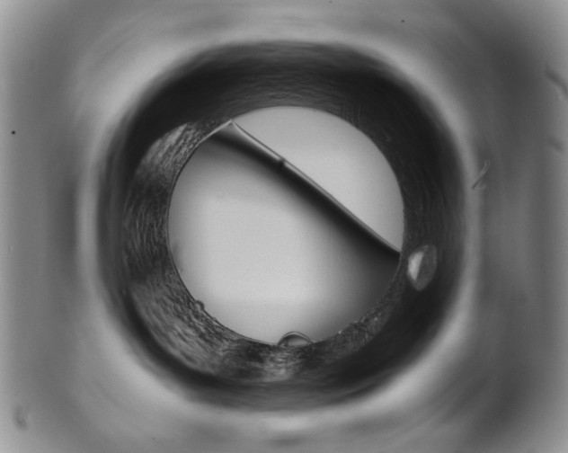 X0000101680143200807101153