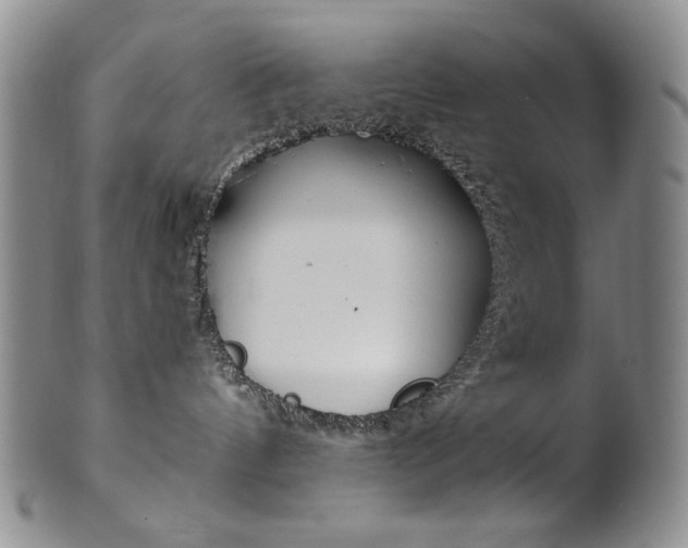 X0000101680144200807101153