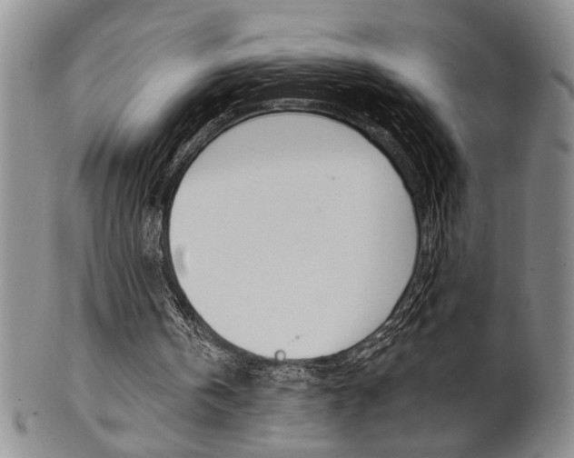 X0000101680146200807101152