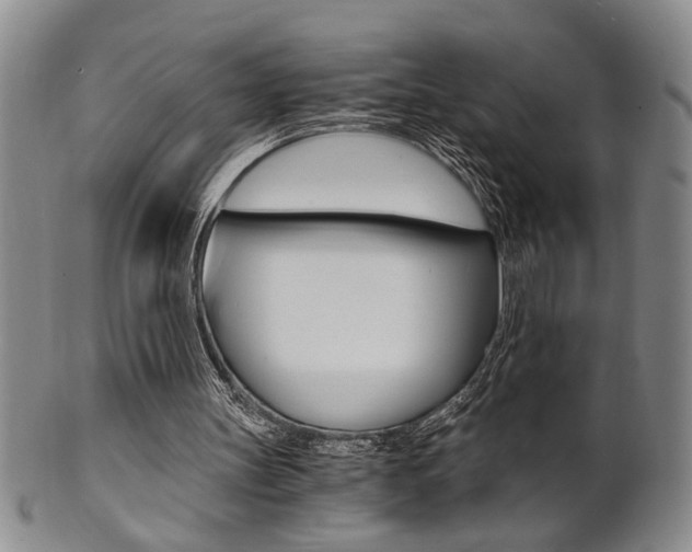 X0000101680147200807101152