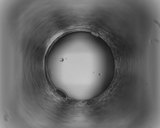 X0000101680148200807101152