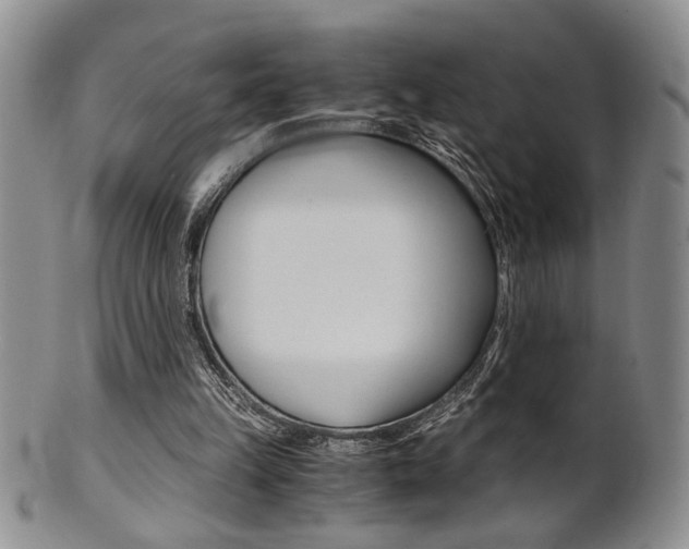 X0000101680149200807101152