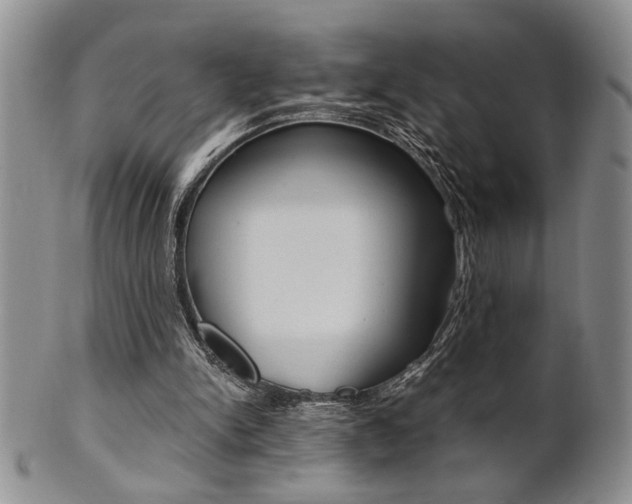 X0000101680150200807101152