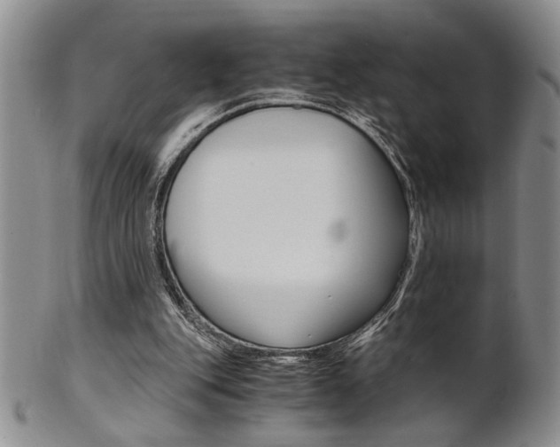 X0000101680151200807101152