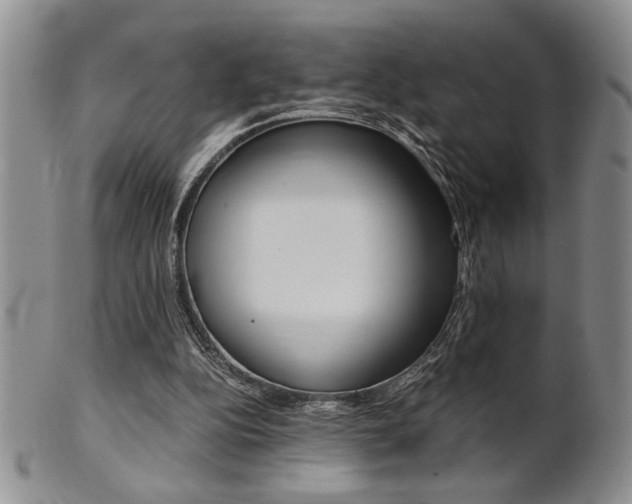 X0000101680152200807101152