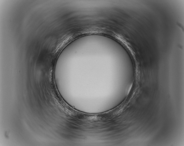 X0000101680153200807101152