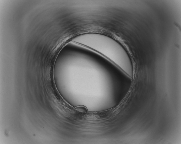 X0000101680154200807101153