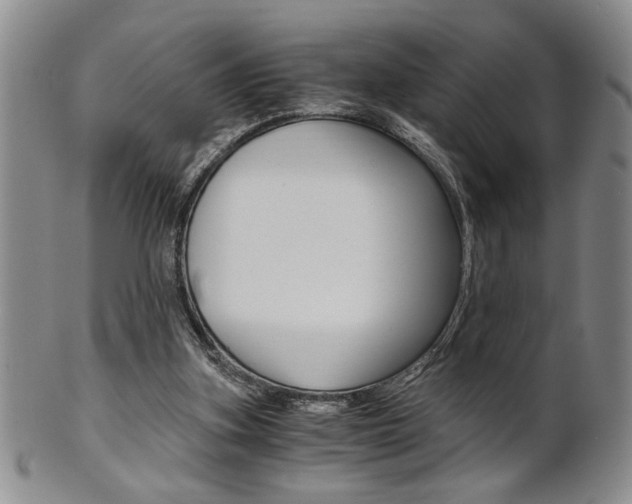 X0000101680155200807101153