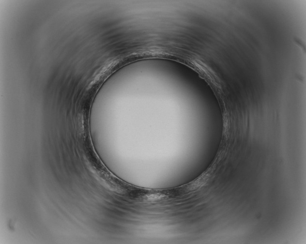 X0000101680158200807101153