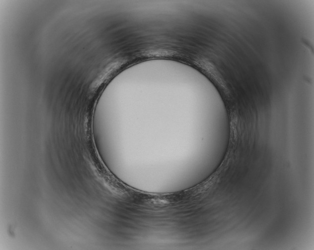 X0000101680159200807101153