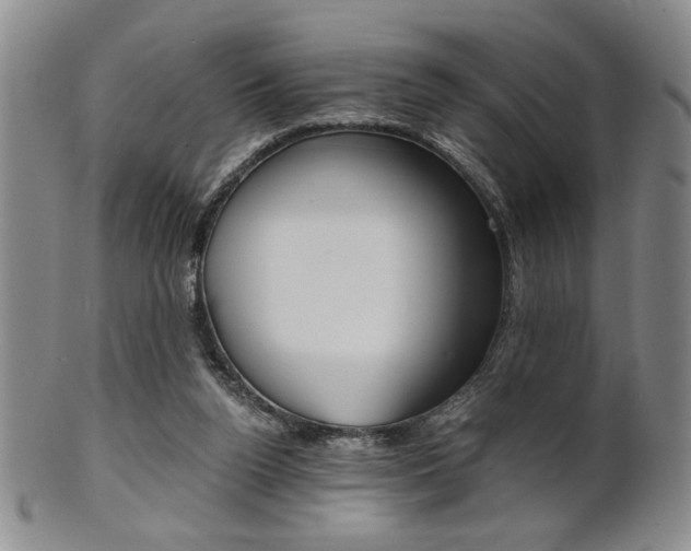 X0000101680160200807101153