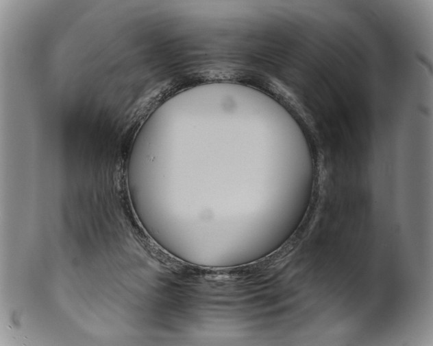 X0000101680161200807101153