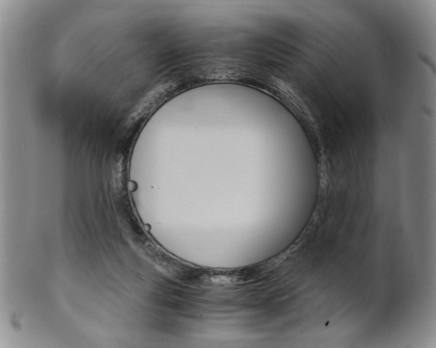 X0000101680163200807101153