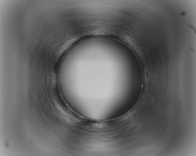 X0000101680164200807101153