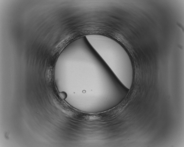 X0000101680165200807101153