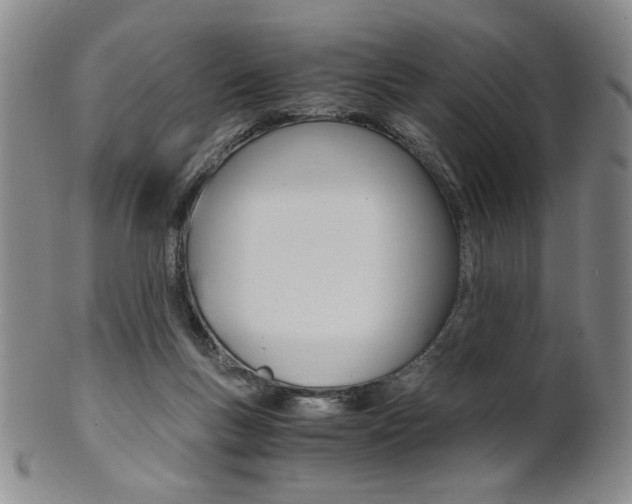 X0000101680167200807101153