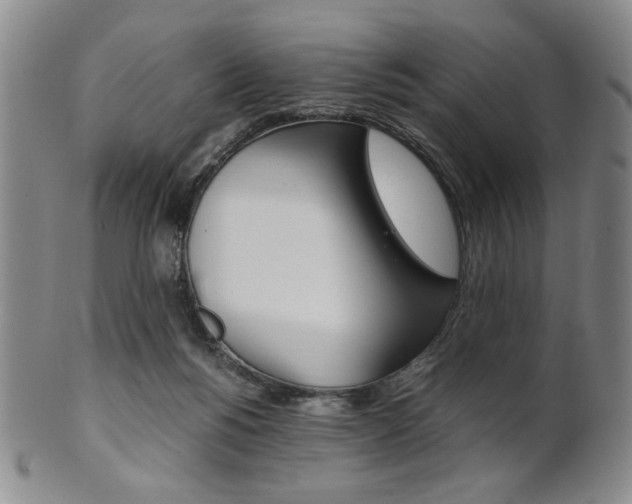 X0000101680168200807101153