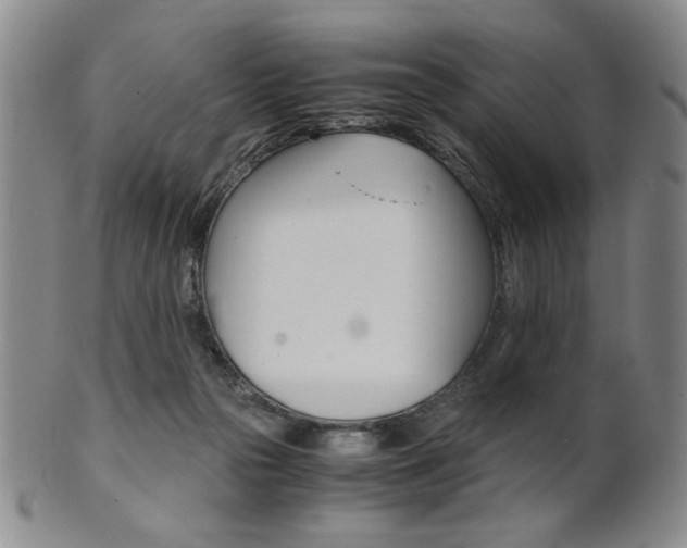 X0000101680169200807101153