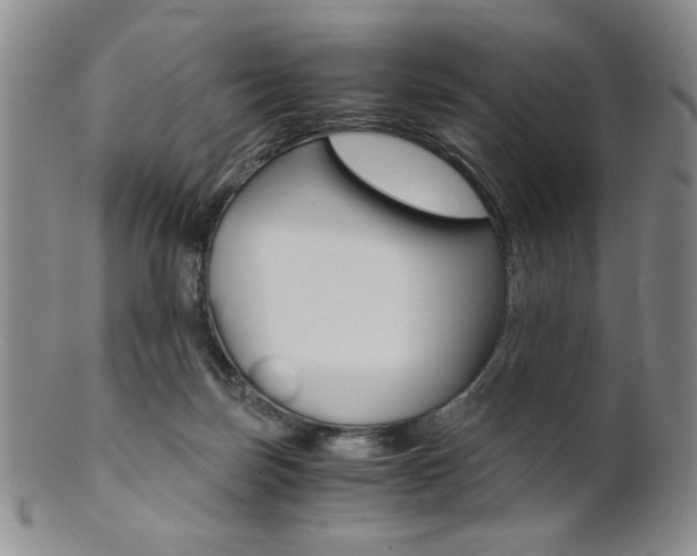 X0000101680171200807101153