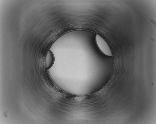 X0000101680172200807101153