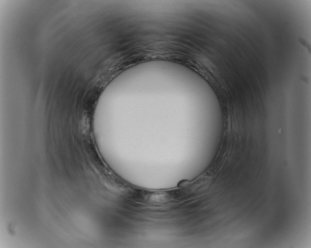 X0000101680173200807101153