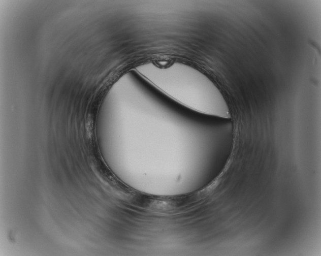 X0000101680174200807101153