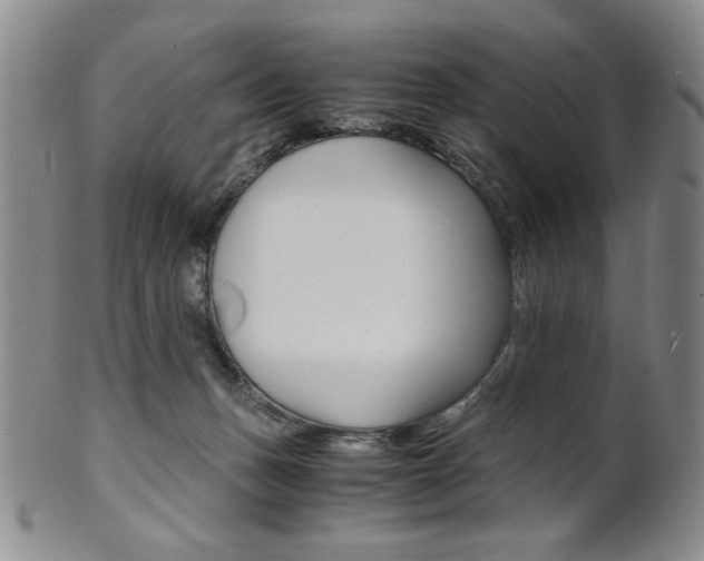 X0000101680175200807101153