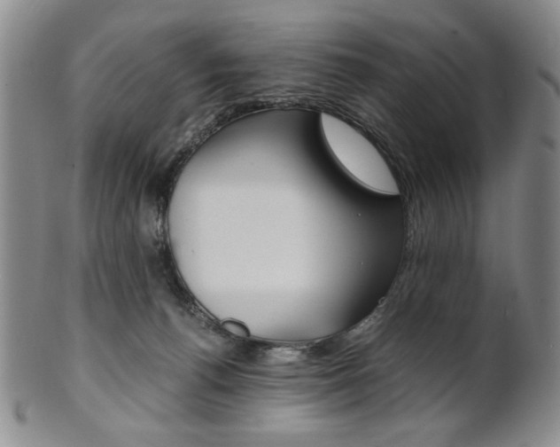 X0000101680176200807101153