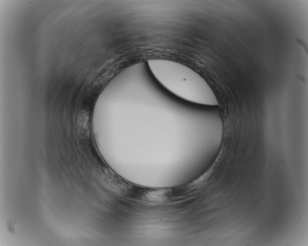 X0000101680178200807101153