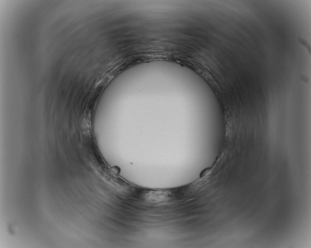 X0000101680179200807101153