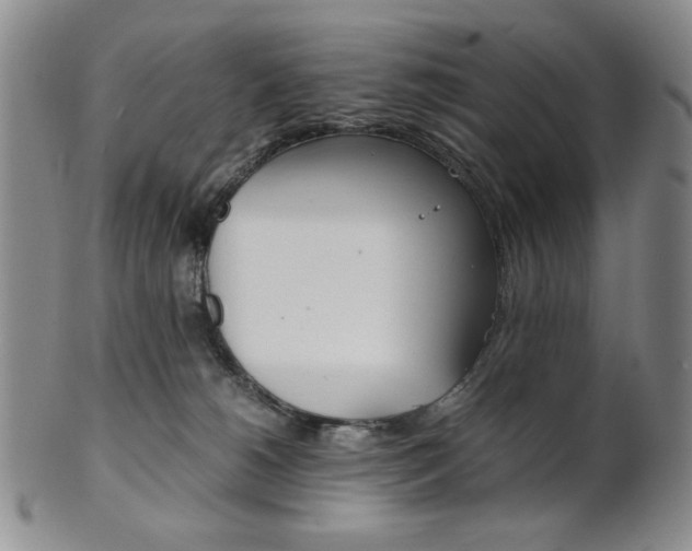 X0000101680180200807101153