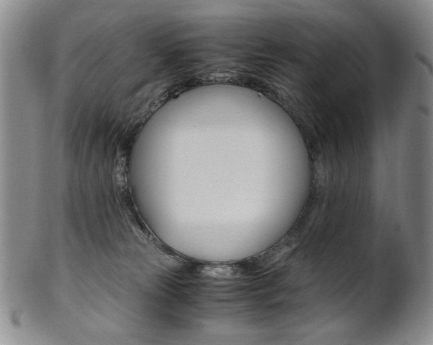 X0000101680181200807101153