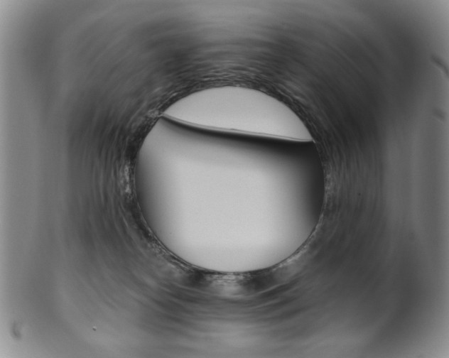 X0000101680182200807101153