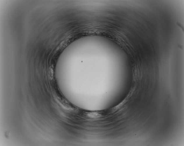 X0000101680183200807101153