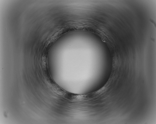 X0000101680184200807101153