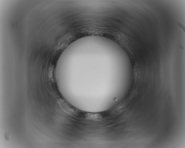 X0000101680185200807101153