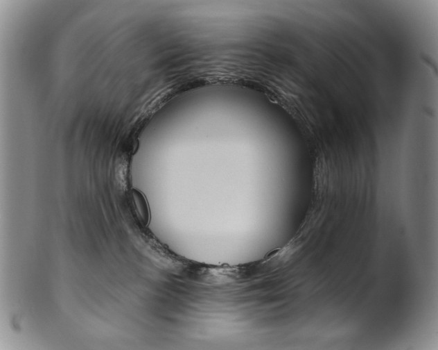 X0000101680188200807101153