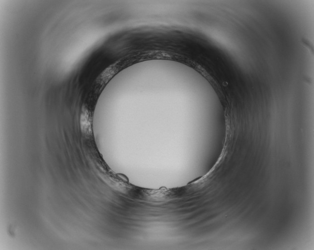 X0000101680191200807101153