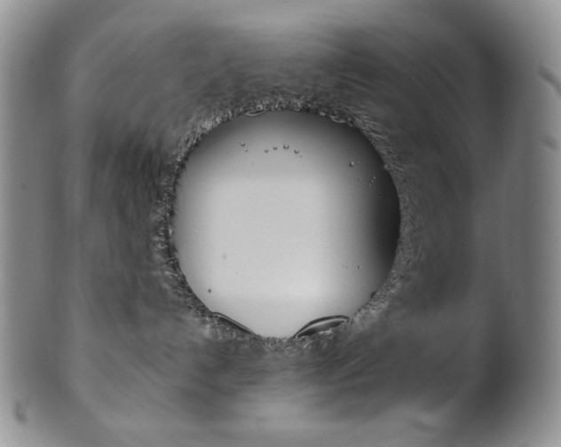 X0000101680192200807101153