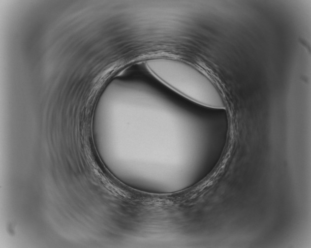 X0000101680193200807101152