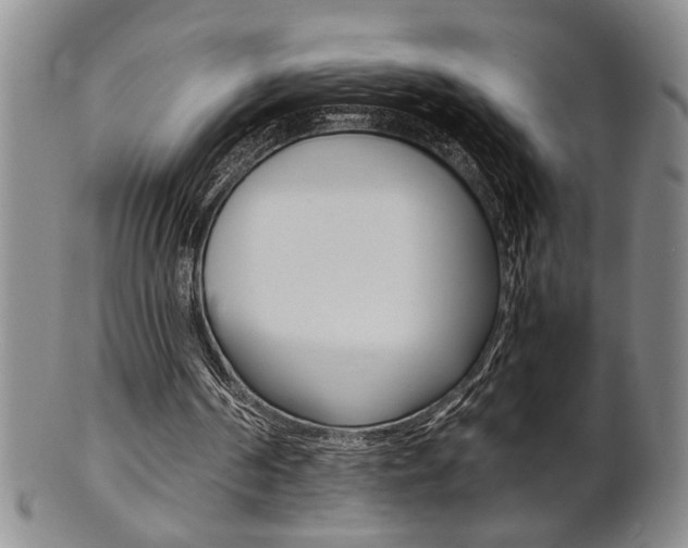 X0000101680194200807101152